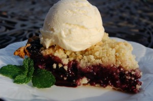 36647_400217731777_79549456777_4393769_3767939_n1-300×199